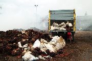 Foto: Cilts sievietes un saldūdens delfīnu meklējumi Borneo